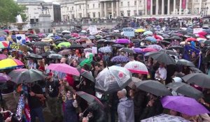 Manifestation anti-brexit à Londres