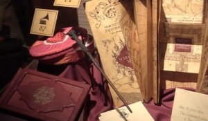 Harry Potter s'installe à Brussels Expo