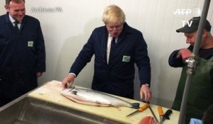 Boris Johnson renonce à succéder à David Cameron