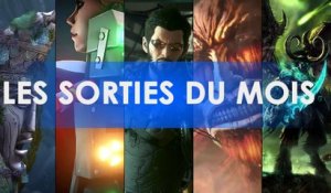 Les sorties du mois en vidéo - Eté 2016