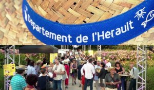 Trophées Hérault Vincoeurs et Saveurs 2016