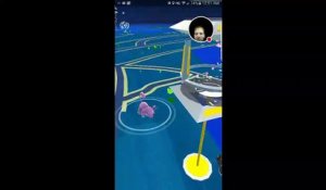 Un gamer tombe dans l eau en jouant à Pokémon Go