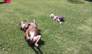 Le plaisir de se rouler dans l'herbe : pour le chien et pour l'enfant