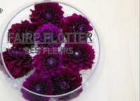 Déco Brico Jardinage : 3 idées de décoration florale et estivale