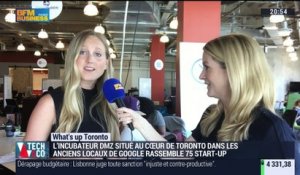 What's Up Toronto: L’incubateur DMZ rassemble 75 startups - 12/07