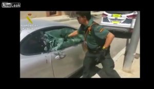 Un pitbull tire une voiture - Vidéo Dailymotion