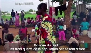 Sud Soudan: les 3/4 de la population a besoin d'aide humanitaire