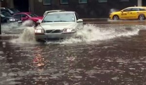 Cet automobiliste sort de sa voiture pour sauver un chaton coincé dans une inondation !
