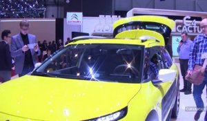 Salon de Genève 2014 - Citroën C4 Cactus, à partir de 14 000 €