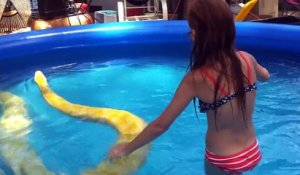 Cette fillette nage avec son python de 3m dans sa piscine... Même pas peur