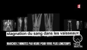 Santé - Marcher 2 minutes par heure pour vivre plus longtemps - 2016/07/22