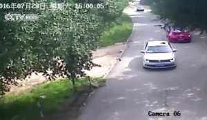 Une femme attaquée par un tigre dans un parc animalier en Chine - Terrible