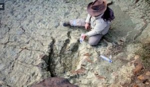 Une empreinte de dinosaure de taille exceptionnelle découverte en Bolivie