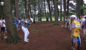 PGA Championship - Attention aux arbres