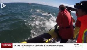 Le duo de l'info, I-Télé : des baleines percutent le canot pneumatique de touristes français, au Canada