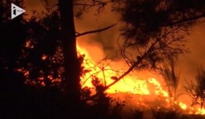 Trois morts dans les incendies qui ravagent l’île de Madère depuis lundi