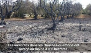 Bouches-du-Rhône: Vitrolles touchée par les incendies