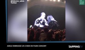 Adele embrasse un chien en plein concert (Vidéo)