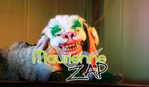 Maurienne Zap # 299