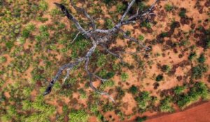 Vue de Drone de l'Ayers Rock plus grand rocher du monde en Australie