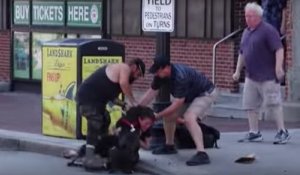 Une Femme Sauve Un Renard Attaque Par Une Meute De Chien De Chasse Sur Orange Videos