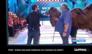 TPMP : Enora Malagré embrasse un chameau en direct (Vidéo)