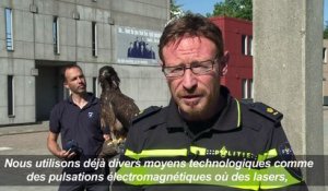 Aigles vs drones:les nouvelles recrues de la police néerlandaise
