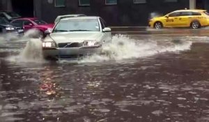 Il sauve un chaton de la noyade en pleine inondation