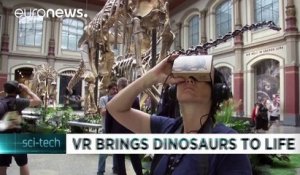 Berlin : un dinosaure reprend vie dans un musée