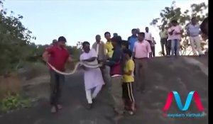 Attaque d'un Python géant pendant un selfie avec le serpent