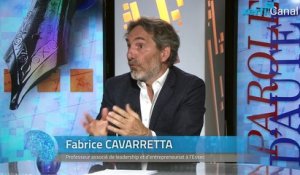 Fabrice Cavarretta,  Oui la France est un paradis pour les entrepreneurs - Introduction