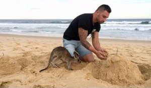 Son animal de compagnie est un adorable bébé kangourou !