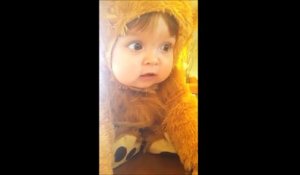 Le Plus Petit Rugissement De Bebe Lion Trop Mignon Sur Orange Videos