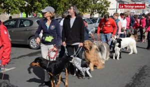 Paimpol. Le club canin du Goëlo prépare un rendez-vous national d'obéissance pour 2017