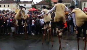 Mont-de-Marsan : des échassiers pour défendre les traditions landaises