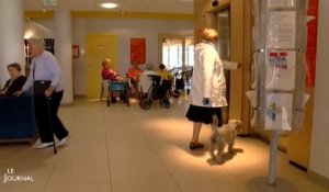 Logements : Les résidences seniors se développent (Vendée)