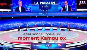 Jean-François Copé et son moment Kamoulox