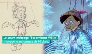 De "Mickey" à "La Reine des neiges", un siècle de dessins des studios Disney