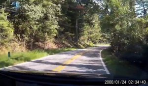 Il se prend un ours en voiture : choc bien violent!