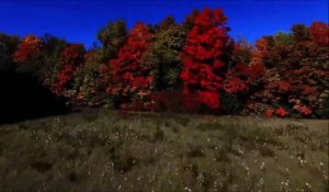 Beautés de l'automne filmées par un drone! Magnifique