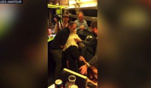 Une femme de 82 ans fait son "show" dans un TGV