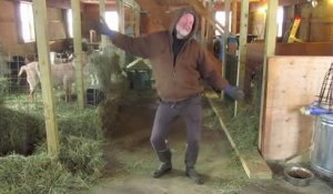 Un agriculteur danse en plein milieu de sa ferme