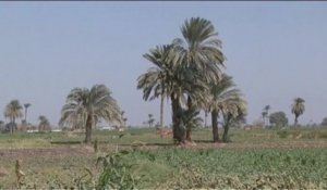 Égypte, Initiatives agricoles pour lutter contre la malnutrition et Protéger l'environnement