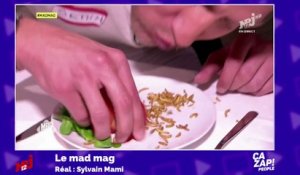 Mad Mag : ils mangent des vers en direct !