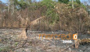 Amazonie : la guerre est déclarée (bande-annonce Investigatiôns)