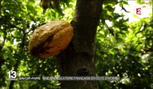 Côte d'Ivoire : la première chocolaterie installée par un groupe français
