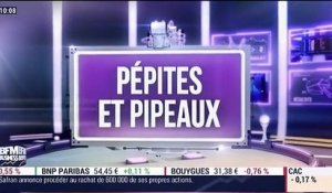 Pépites & Pipeaux: La Compagnie des Alpes - 21/11