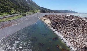 Un lagon créé par un tremblement de terre en quelques secondes en Nouvelle-Zélande