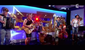 Steve'n'Seagulls, en Live - C à vous - 22/11/2016