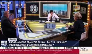 Programme de François Fillon: Faut-il un "choc" pour relancer l'économie française ? - 24/11